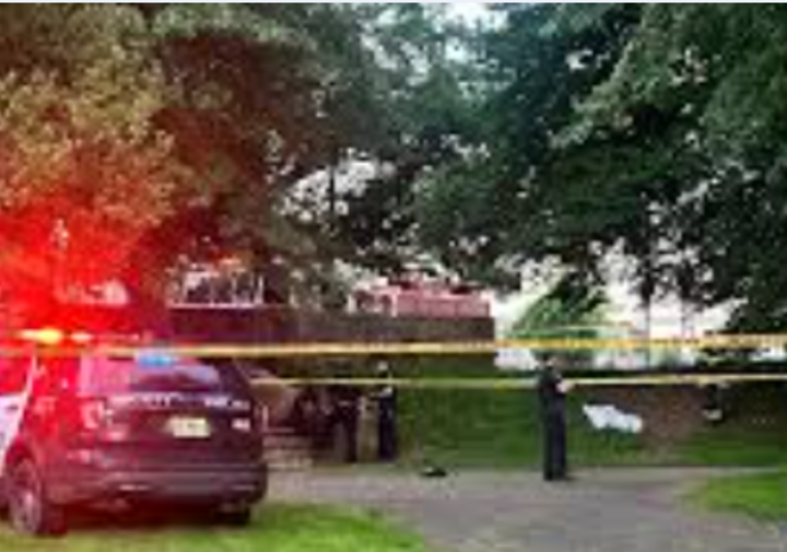 Man Shot Dead In Warinanco Park Sunday Night