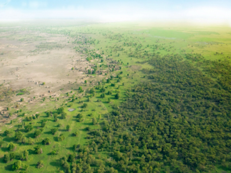 Trees For The Future Across Africa