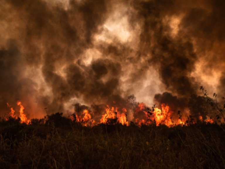 The World’s Largest Wetland Continues To Burn