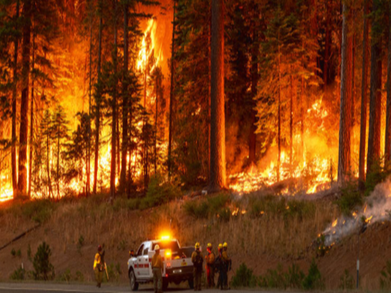 California’s Park Wildfire Has Burned 400, 965 Acres, Destroying 564 Structures