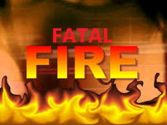 download - 2026-01-28T125634.302