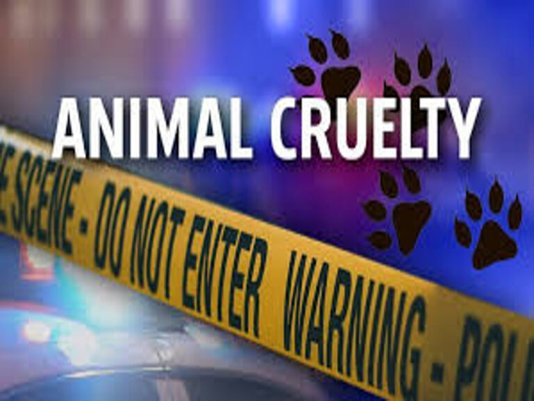 Atlantic City Woman Convicted Of Animal Cruelty