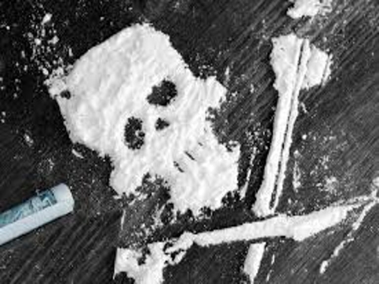 Morris County Narcotics Task Force Cocaine Distribution Bust