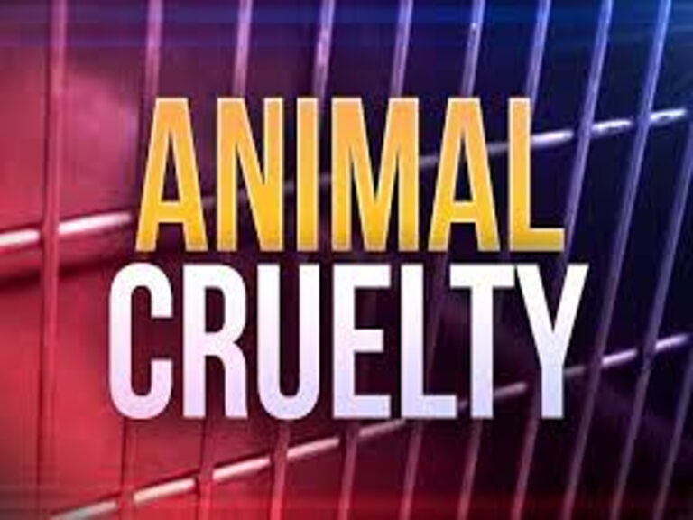 Woman Charged With Animal Cruelty